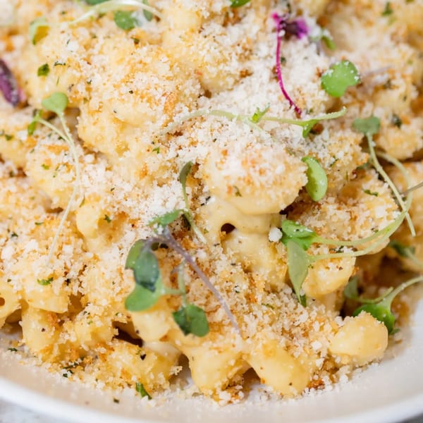 Close-up of Earthly's vegan mac and cheese, topped with breadcrumbs and microgreens.